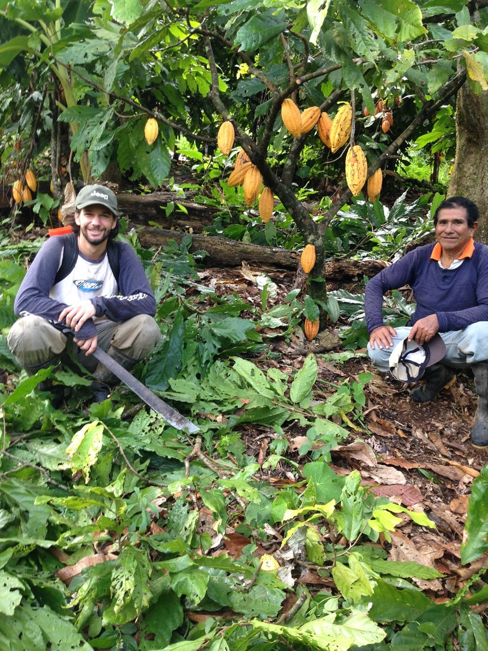 PERU - PIURA WHITE 70%