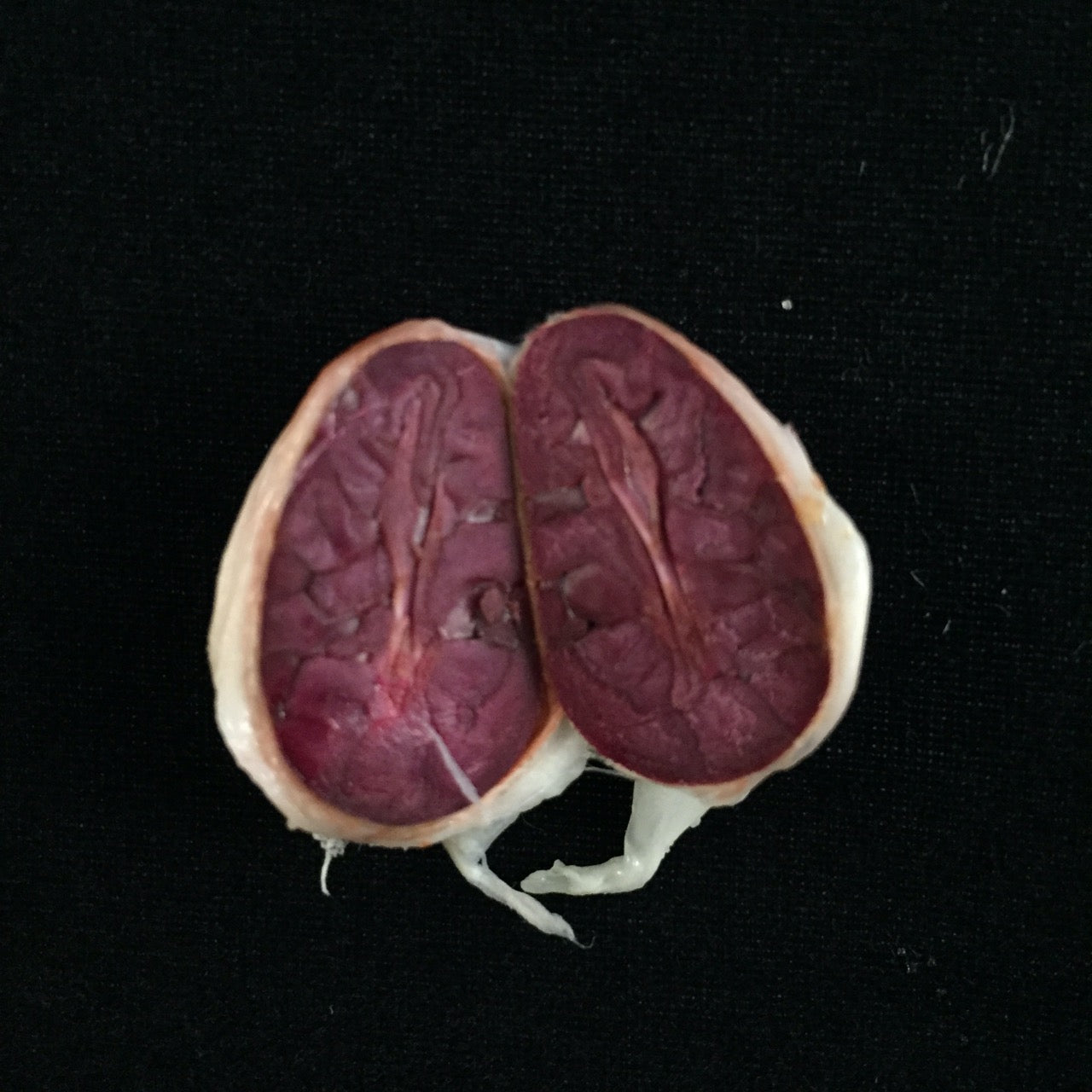 PERU - PIURA WHITE 70%