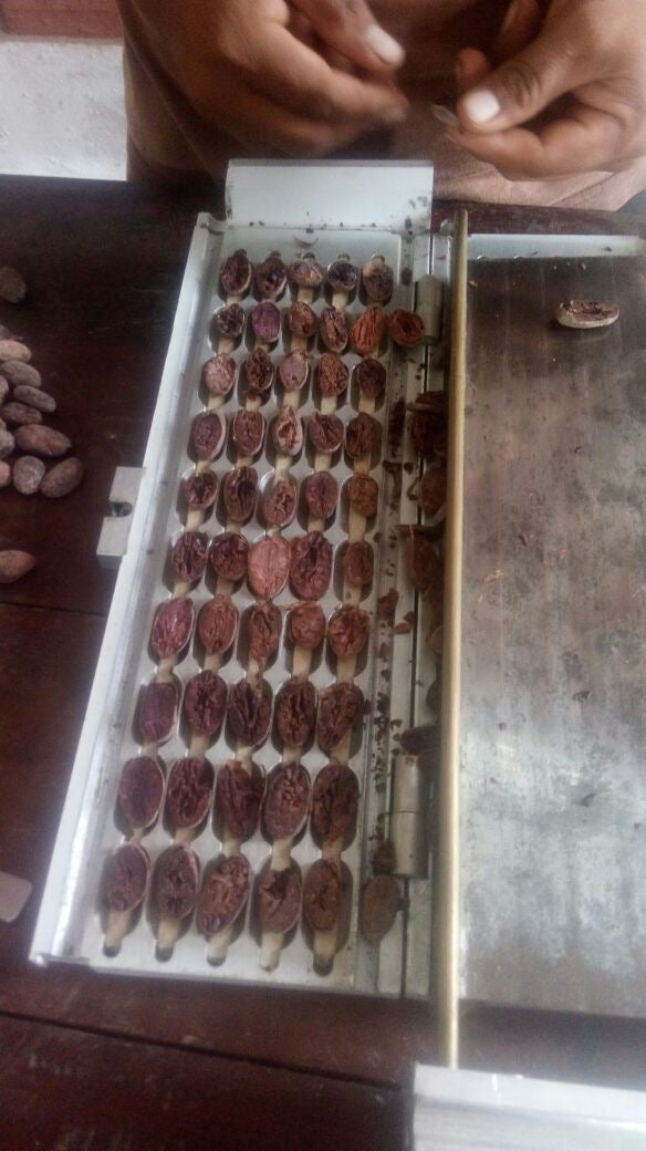 PERU - PIURA WHITE 70%