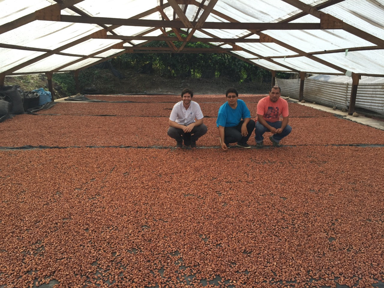 PERU - PIURA WHITE 70%