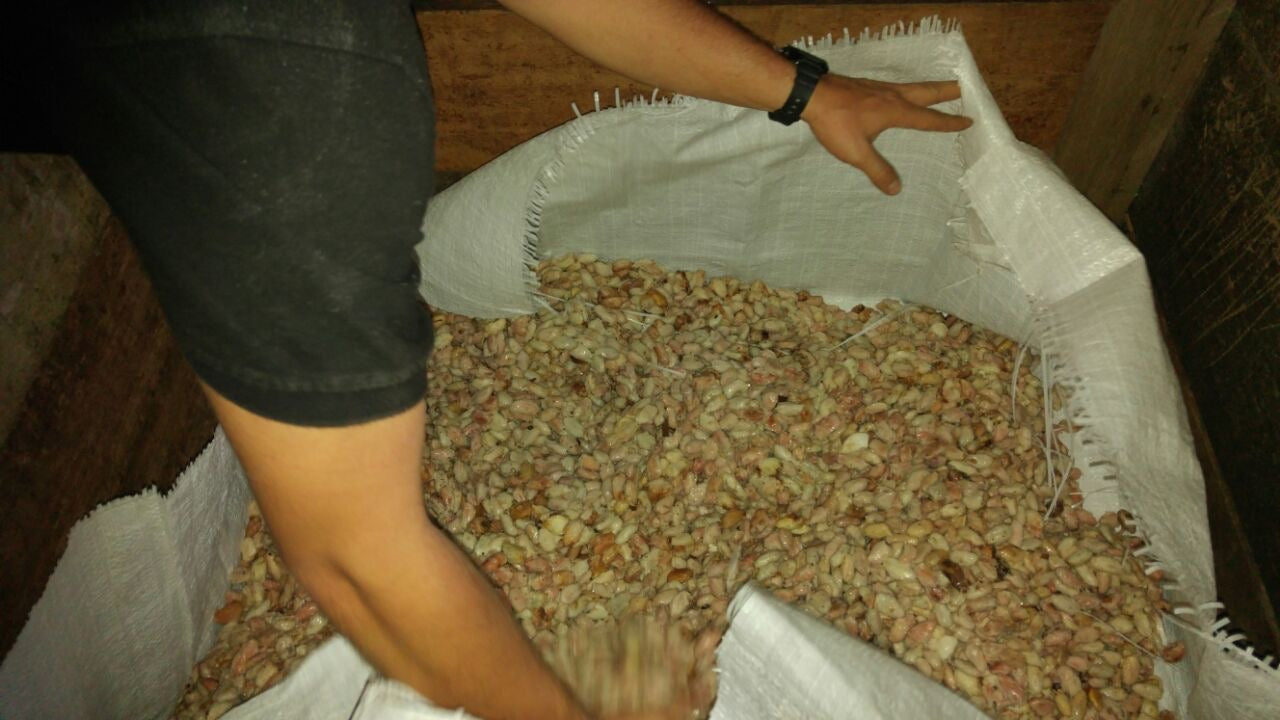 PERU - PIURA WHITE 70%